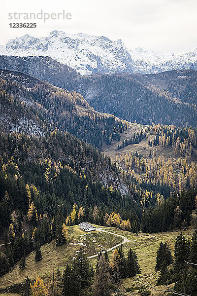 Germany  Bavaria  Berchtesgaden Alps  Schneibstein in autumn