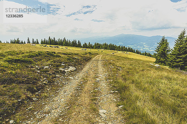 Austria  Styria  dirt track on plateau