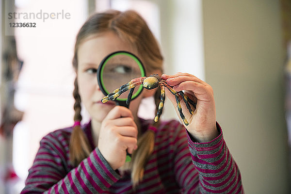 Girl examining fake spider with magnifying glass