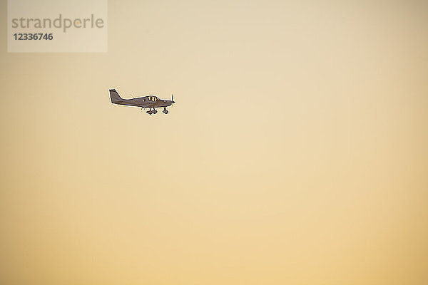 Africa  South Africa  Propeller plane in the evening sky