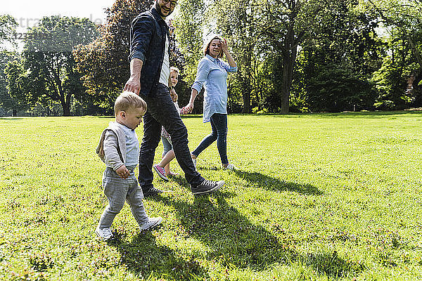 Happy family walking hand in hand in a park