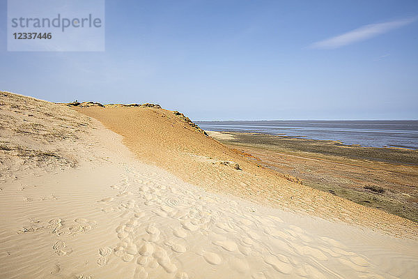 Germany  Schleswig-Holstein  North Frisian Islands  Sylt  Morsum  Morsum Cliff