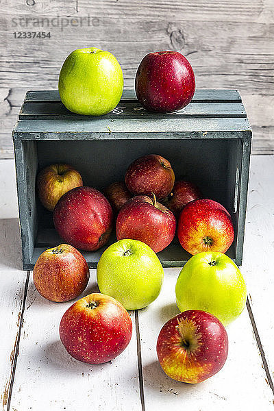 Various sorts of apples