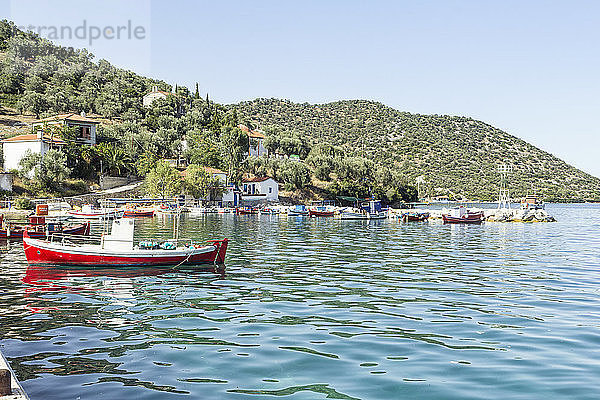 Greece  Pelion  Pagasetic Gulf  Kottes  fishing boat at harbour