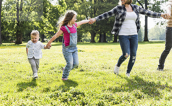 Active happy family walking hand in hand in a park