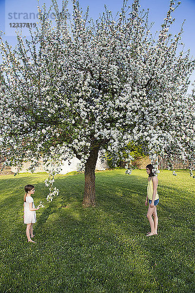 Two girls standing barefoot in the garden in front of blossoming apple tree