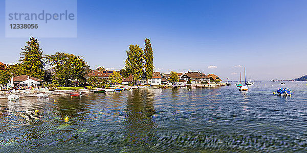 Germany  Hoeri  Hemmenhofen  Lake Constance