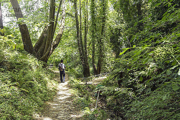 Greece  Pelion  Tsagarada  hiker on hiking trail