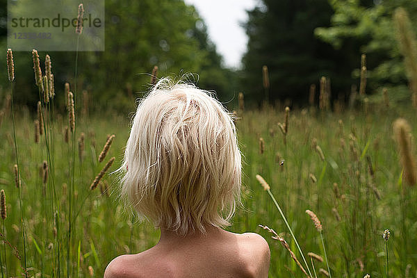 Blondhaariger Junge mit nackten Schultern  der aus langem Gras auf den Wald schaut  Rückansicht