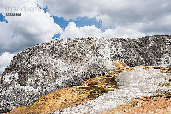 Weiße Mineralterrassen am Berghang  Yellowstone-Nationalpark  Wyoming  USA