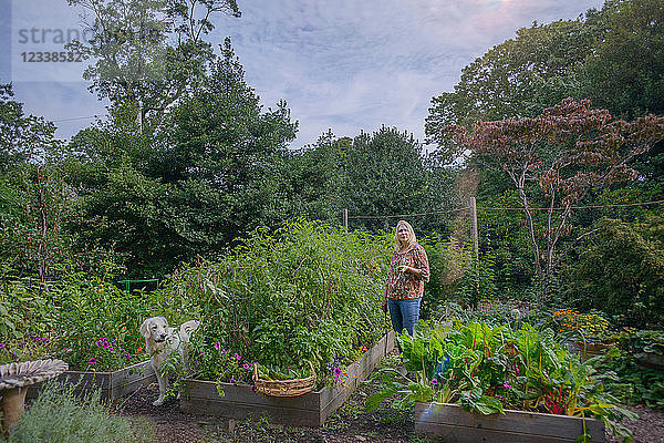 Frau und Hund im Garten