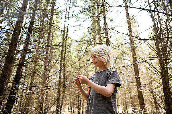 Blondhaariger Junge im Wald