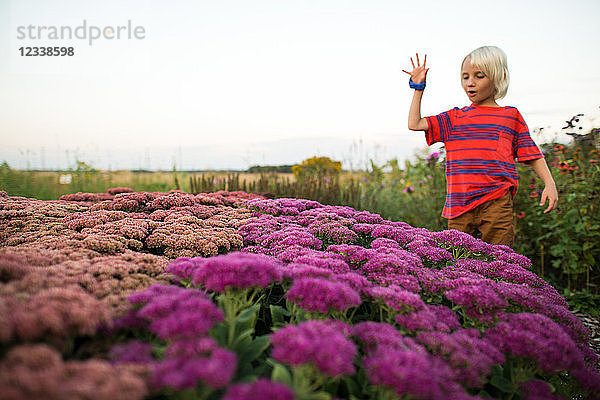 Blondhaariger Junge im Garten mit Blick auf rosa und lila Blumen