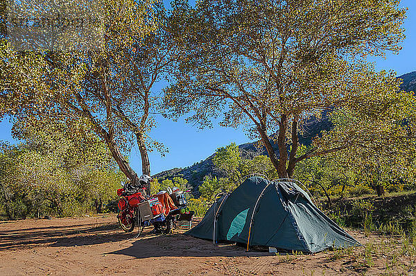 Reisemotorrad und Zelt  Camping im Zion-Nationalpark  Utah  USA