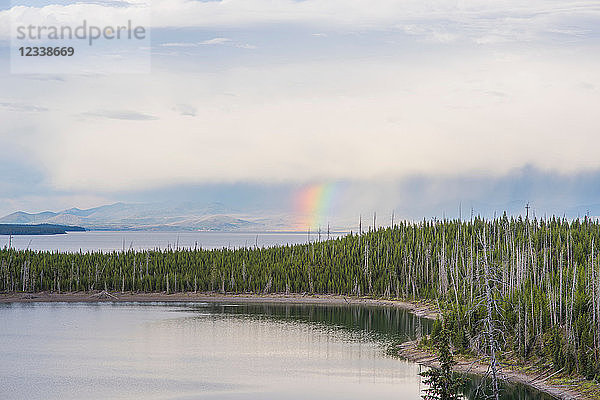 See- und Waldlandschaft mit Regenbogen am Horizont  Yellowstone-Nationalpark  Wyoming  USA