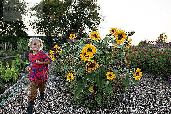 Blondhaariger Junge rennt im Garten an Sonnenblumen vorbei