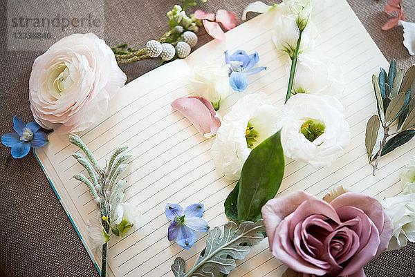 Stilleben eines leeren offenen Notizbuches mit pastellfarbenen Blumenköpfen und Stielen  Draufsicht