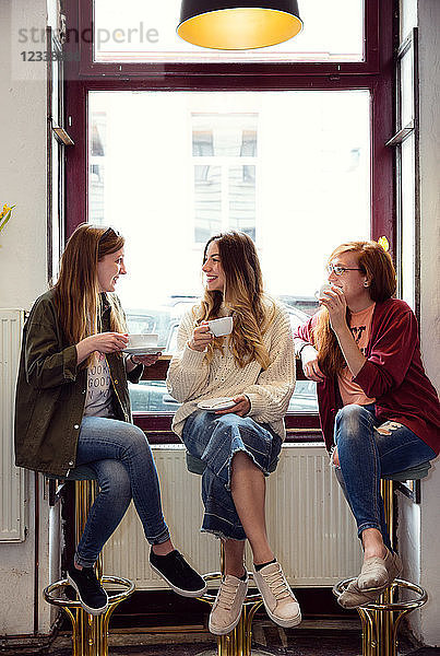 Junge Frauen unterhalten sich bei Kaffee im Café