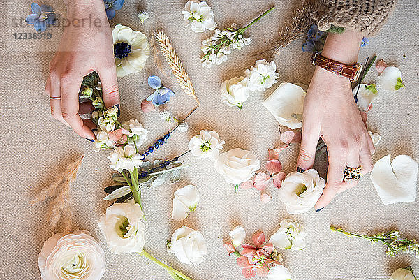 Frau arrangiert pastellfarbene Blumenköpfe und Stiele auf Textil  Detail der Hände  Draufsicht