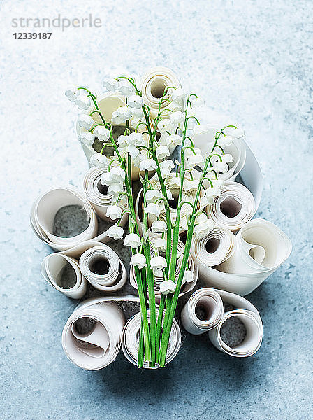 Maiglöckchen Schnittblumen auf gekräuselten Bändern  Draufsicht