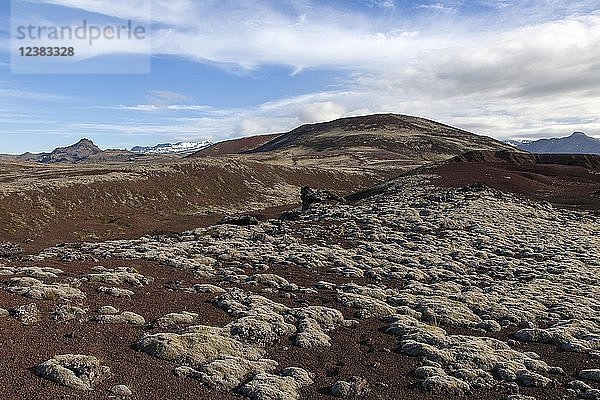 Vulkanlandschaft  Snæfellsnes-Halbinsel  Westisland  Island  Europa