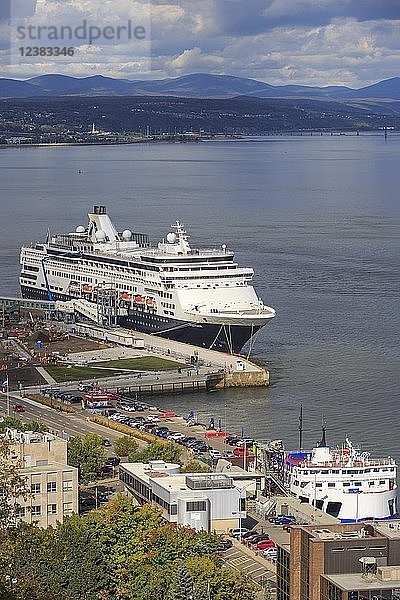 Kreuzfahrtschiff MS Veendam ankert im Hafen  St. Lawrence River  Québec  Provinz Québec  Kanada  Nordamerika