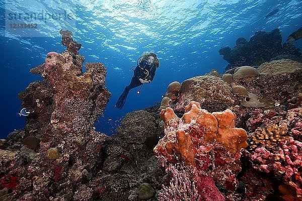 Taucherinnen schwimmen neben einem Korallenriff  Insel Fuvahmulah  Indischer Ozean  Malediven  Asien