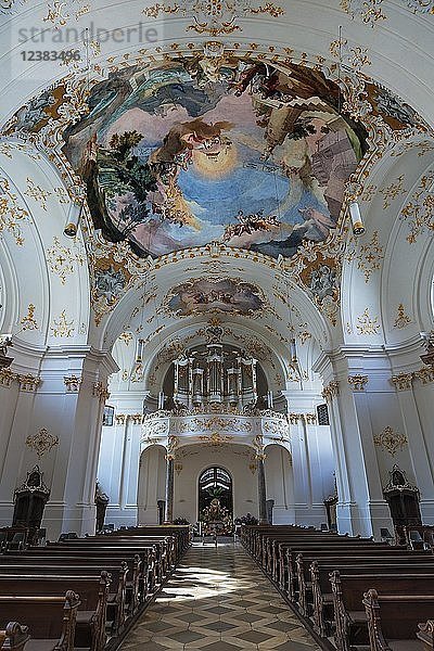 Orgelempore und Deckenfresken  Kloster Schäftlarn  Oberbayern  Bayern  Deutschland  Europa