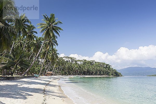 Weißer Strand  in der Nähe von Port Barton  Insel Palawan  Philippinen  Asien