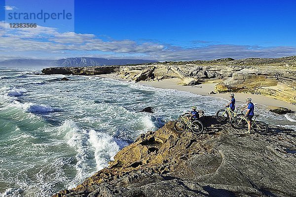 Mountainbiker mit Fatbikes auf Klippe  Fahrradtour am Die Plaat Beach  Naturschutzgebiet  De Kelders  Gansbaai  Westkap  Südafrika  Afrika