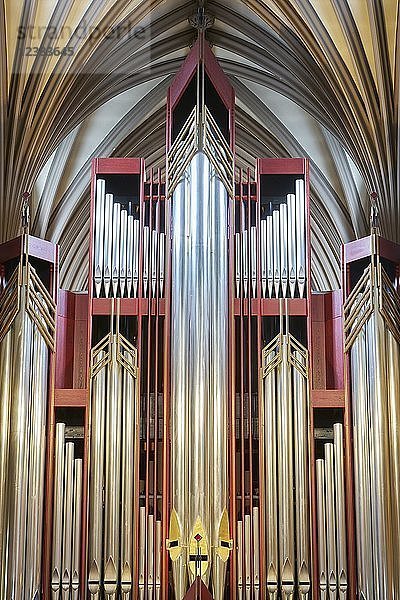 Kirchenorgel  St. Giles Cathedral  Edinburgh  Schottland  Großbritannien