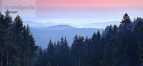 Blick über Mittelgebirgslandschaft  hügelige Landschaft mit Wäldern  Sonnenuntergang  Talnebel  Nationalpark Harz  Niedersachsen  Deutschland  Europa