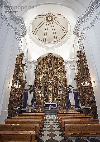 Innenraum mit Bänken und Altar  Innenraum der Kirche  Parroquia De San Juan Y Todos Los Santos  Córdoba  Provinz Cordoba  Andalusien  Spanien  Europa