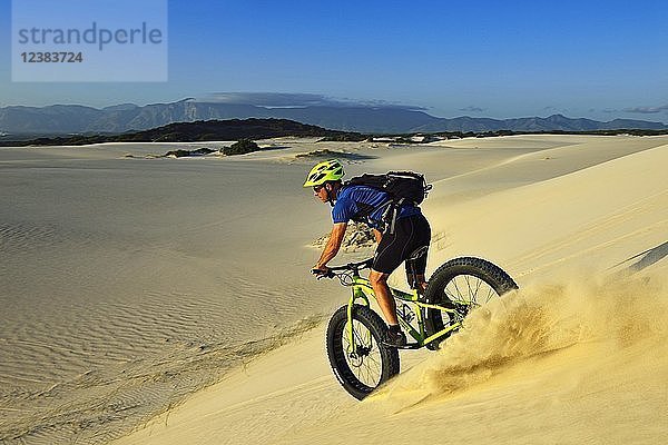 Radtour mit Fatbikes am Die Plaat Beach  Naturreservat  De Kelders  Gansbaai  Westkap  Südafrika  Afrika