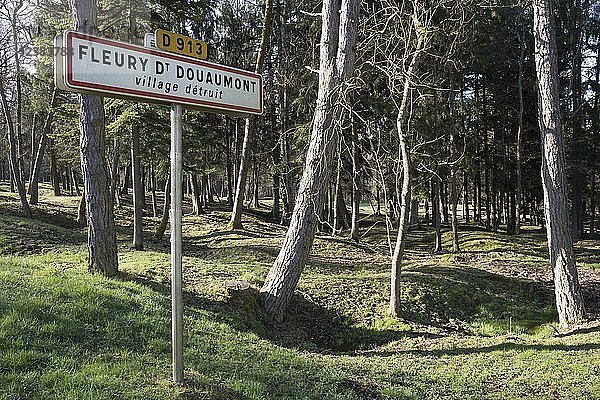 Ort des zerstörten Dorfes Fleury-devant-Douaumont  vom Wald überwachsener Granattrichter  davor Warnschild  Schlachtfeld von Verdun  Erster Weltkrieg  Verdun  Grand Est  Frankreich  Europa