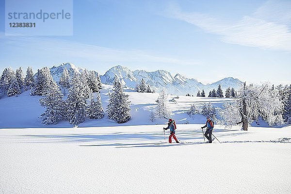 Schneeschuhwandern  Wandern in Winterlandschaft  Simmering Alm  Obsteig  Mieming  Tirol  Österreich  Europa