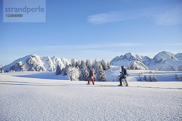 Schneeschuhwandern  Wandern in Winterlandschaft  Simmering Alm  Obsteig  Mieming  Tirol  Österreich  Europa