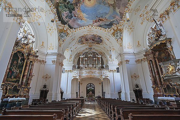 Orgelempore und Deckenfresken  Kloster Schäftlarn  Oberbayern  Bayern  Deutschland  Europa