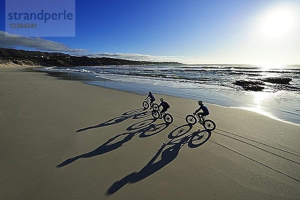 Mountainbiker mit Fatbikes am Sandstrand  langer Schatten  Fahrradtour am Die Plaat Beach  Naturschutzgebiet  De Kelders  Gansbaai  Westkap  Südafrika  Afrika
