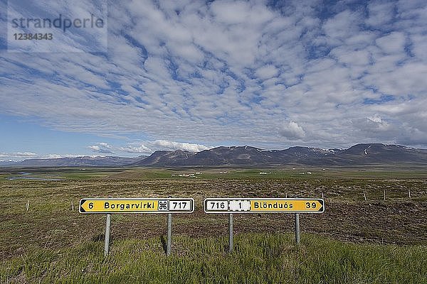 Zwei Wegweiser entlang der Straße bei Borggarvirki  weite Landschaft mit Wolkenformation  Halbinsel Vatnsnes  Nordisland  Island  Europa