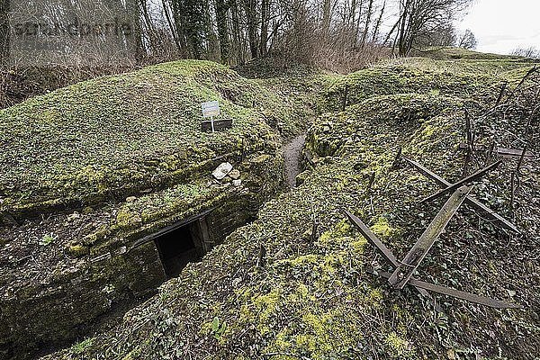 Vauquois-Hügel  deutscher Graben  Befestigungsanlagen  Erster Weltkrieg  bei Verdun  Vauquois  Grand Est  Frankreich  Europa
