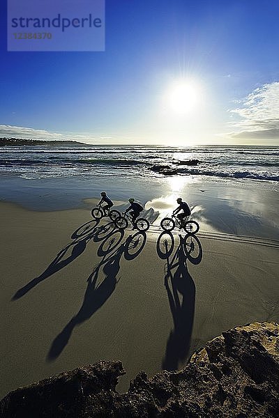 Mountainbiker mit Fatbikes am Sandstrand  langer Schatten  Fahrradtour am Die Plaat Beach  Naturreservat  De Kelders  Gansbaai  Westkap  Südafrika  Afrika
