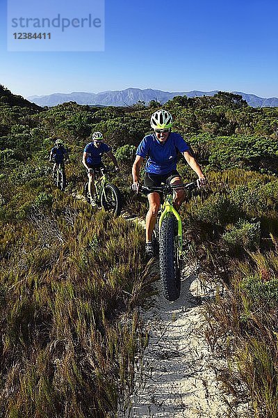 Mountainbiking auf Fatbikes durch Gebüsch  Radfahren  Naturreservat  De Kelders  Gansbaai  Westkap  Südafrika  Afrika