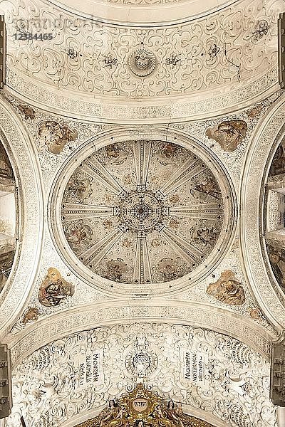 Verschnörkelte Decke der Barockkapelle  Iglesia de la Caridad  Hospital de la Caridad  Sevilla  Andalusien  Spanien  Europa
