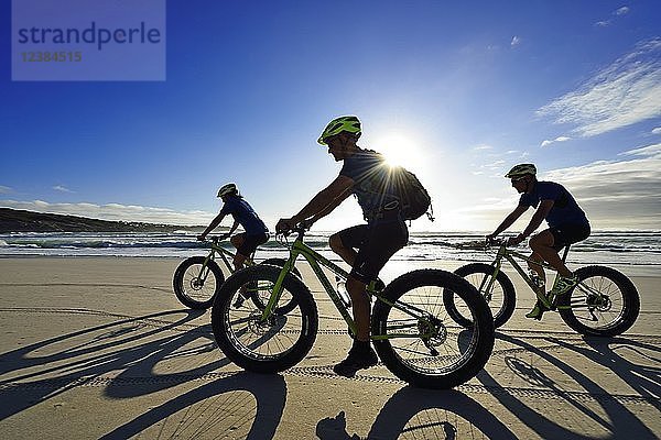 Mountainbiker mit Fatbikes am Sandstrand  langer Schatten  Fahrradtour am Die Plaat Beach  Naturschutzgebiet  De Kelders  Gansbaai  Westkap  Südafrika  Afrika