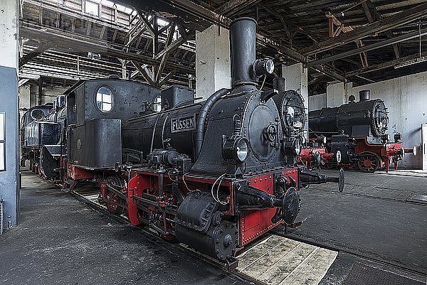 Dampflokomotive 7 Fuß von 1889 im Ringlokschuppen  Bayerisches Eisenbahnmuseum Nördlingen  Nördlingen  Bayern  Deutschland  Europa