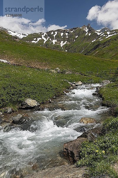 Gebirgsbach in den Hohen Tauern  Kärnten  Österreich  Europa