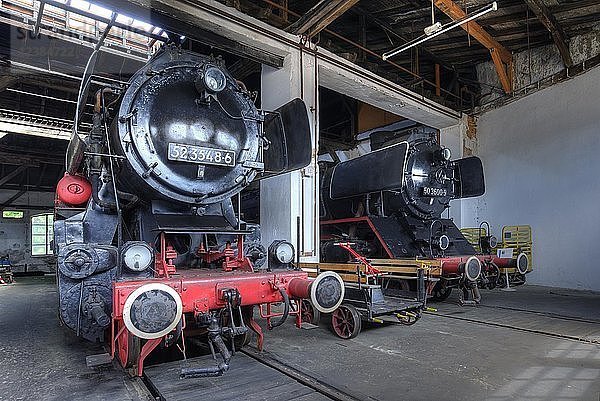 Dampflokomotive 52 3548-6 von 1943  rechts Dampflokomotive 50 3600-9 von 1941 im Ringlokschuppen  Bayerisches Eisenbahnmuseum Nördlingen  Nördlingen  Bayern  Deutschland  Europa