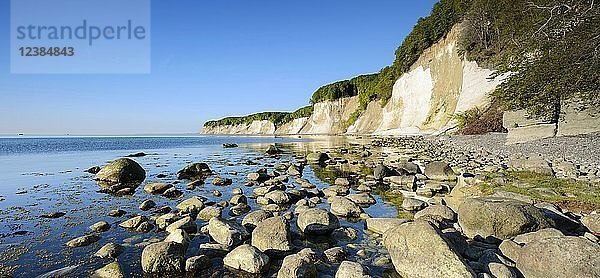 Große Steine am Ostseestrand vor den Kreidefelsen der Steilküste  Nationalpark Jasmund  Insel Rügen  Mecklenburg-Vorpommern  Deutschland  Europa