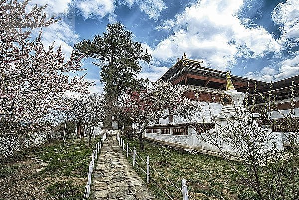Buddhistischer Tempel Kyichu Lhakhang im Frühling  Paro  Bezirk Paro  Himalaya-Region  Bhutan  Asien